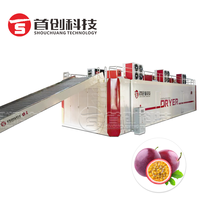 Type de ceinture Fruit de la passion Armoire de séchage continu Fig Longan Lychee Mesh Belt Drying Machine