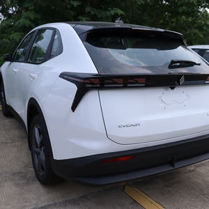<span class=keywords><strong>Voiture</strong></span> électrique JMEV EWIND RHD avec système d'air frais à ions négatifs et PM2.5 - Product Image 2