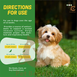 Masticables para la <span class=keywords><strong>alergia</strong></span> canina <span class=keywords><strong>de</strong></span> Factory Dog, con extracto <span class=keywords><strong>de</strong></span> Neem, para aliviar la picazón, refuerzo inmunológico, salud <span class=keywords><strong>de</strong></span> la piel y el pelaje, cuidado óptimo para la salud <span class=keywords><strong>de</strong></span> <span class=keywords><strong>las</strong></span> mascotas - Product Image 3