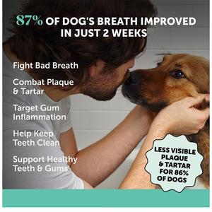 Pó Purin para Cuidado Dental e Hálito Fresco para Cães, com Ervas Naturais e Probióticos para Saúde Digestiva Energizante - Product Image 3