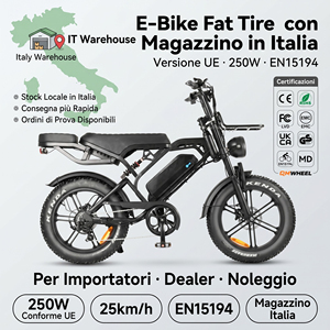 QMHEEL V20 Pro Electric Fat Bike Bici Elettrica Fat Bike Elettrica Italy EU Stock OEM ODM Factory Bulk Supplier B2B Trade EU - Product Image 1