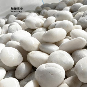 Échantillon d'essai disponible : <span class=keywords><strong>Galets</strong></span> naturels pour <span class=keywords><strong>jardin</strong></span> zen, paysage <span class=keywords><strong>japonais</strong></span> sec, pierre ornementale moderne, extérieur, non toxique - Product Image 2