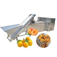 Équipement de dénoyautage de fruits en acier inoxydable machine à fendre la coupe la pomme la poire