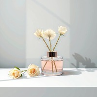 Fabrication de flacons diffuseurs de parfum en verre rond de 200 ml, 250 ml, 500 ml, flacon vide pour diffuseur de parfum, flacon de désodorisant pour voiture