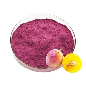 Poudre de <span class=keywords><strong>Prunus</strong></span> Domestica de haute qualité en gros, extrait pur de <span class=keywords><strong>Prunus</strong></span> Domestica en poudre, poudre de jus de <span class=keywords><strong>Prunus</strong></span> Domestica - Product Image 1
