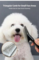 Brosses à poils pour animaux de compagnie de haute qualité, brosses à poils professionnelles en acier inoxydable avec manche en bois pour chiens et chats