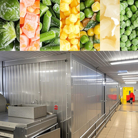 ARKREF Tunnel de congélation rapide automatique à azote liquide pour légumes, congélateur de tunnel alimentaire pour l'usine de transformation des légumes