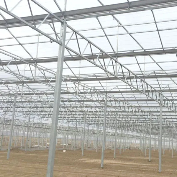 China supplier Agricultural Hydroponic Venlo Glass Greenhouse for Farming, multi-span glass greenhouse