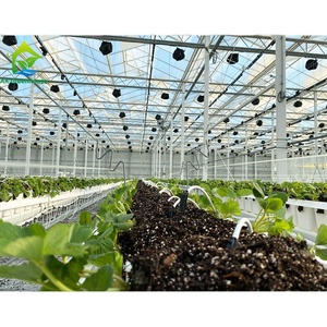 Support galvanisé haute résistance serre <span class=keywords><strong>fraise</strong></span> tomate plantation verticale culture <span class=keywords><strong>gouttière</strong></span> en plastique systèmes de culture - Product Image 5