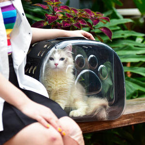<span class=keywords><strong>Sac</strong></span> à dos pour <span class=keywords><strong>chat</strong></span> de grande taille, transparent, portable, pour l'extérieur, en <span class=keywords><strong>gros</strong></span>, <span class=keywords><strong>sac</strong></span> à dos respirant pour animaux de compagnie, <span class=keywords><strong>sac</strong></span> à dos tendance pour animaux de compagnie - Product Image 6