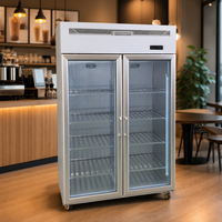 Lemari Pendingin Display Minuman Pintu Ganda Kaca Komersial, Pendingin Udara Tegak dengan Lampu LED untuk Kafe, Bar, dan Toko Swalayan