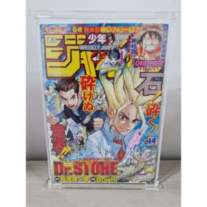 Shonen Jump hebdomadaire n° 2017 14 Premiers Chapitres Dr. Stone Livre Premium Design Magazine avec Pochette de Protection WR 1000g - Product Image 6