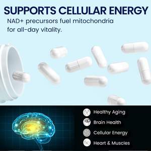 Capsules NAD+ en marque blanche OEM/ODM, complément anti-âge, stimulant énergétique et santé cellulaire, capsules NAD+ en forme de gomme - Product Image 2