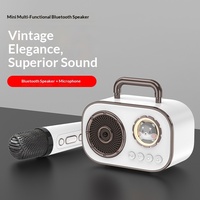 Système de sonorisation karaoké sans fil portable pour la maison avec haut-parleur 5.3 et double microphone en plastique pour chant en extérieur et usage familial