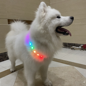 Collar para mascotas con estampado ecológico que cambia de Color <span class=keywords><strong>LED</strong></span> ABS + PVS de alto brillo, elegante Collar de perro brillante de liberación rápida, estilo de dibujos animados - Product Image 2
