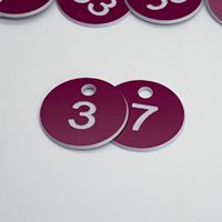 Logo gravé plastique numéro ID Tags porte-clés porte-clés étiquette avec diamètre évidé série numéro étiquette pour casier Slip disques