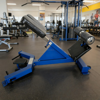 Banc d'entraînement musculaire abdominal réglable à 45 degrés pour usage commercial en salle de sport, banc d'extension dorsale hyper, chaise romaine