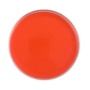 Cosmetic pigment pigment Ponceau 4R Carmine E124 aluminum lake zorubine Acid Azorubine E122 food dye