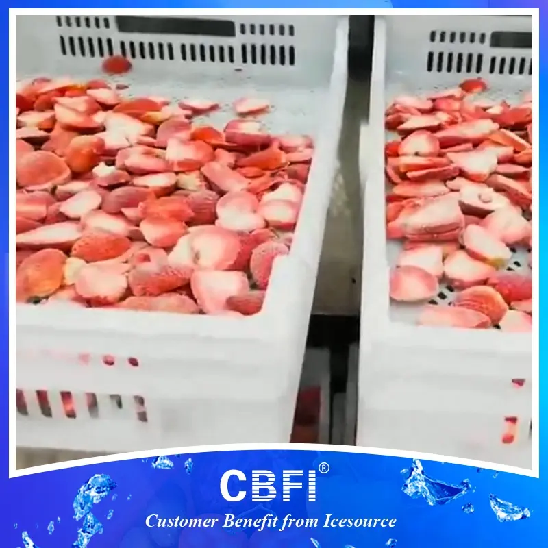 Tunnel Freezer Iqf Industrial Strawberry Fruit Tunnel Air Blast Freezer IQF Quick-freezing Machine