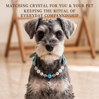 Collier pour chien en perles de cristal multicolores faites à la main, accessoire pour animal de compagnie personnalisé