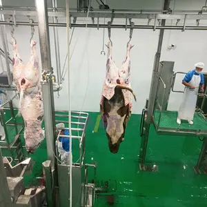 Direct factory cow abattoir machine slaughterhouse production line for cattle slaughter butcher equipment