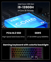 Ordinateur portable de jeu OEM 16 pouces DDR5 Intel I9-13900H 13e génération RTX 4060 16 Go GDDR5 Win 11 Pro 144 Hz 16:10 SSD 14 cœurs 2,6 GHz WiFi