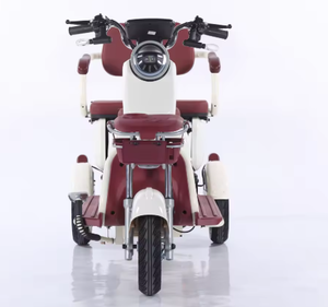 Triciclo de Acero para Adultos de 48V 600W con Motor sin Escobillas, 3 Velocidades, 60km de Autonomía, Batería de Plomo-Ácido, para Personas Mayores - Product Image 2