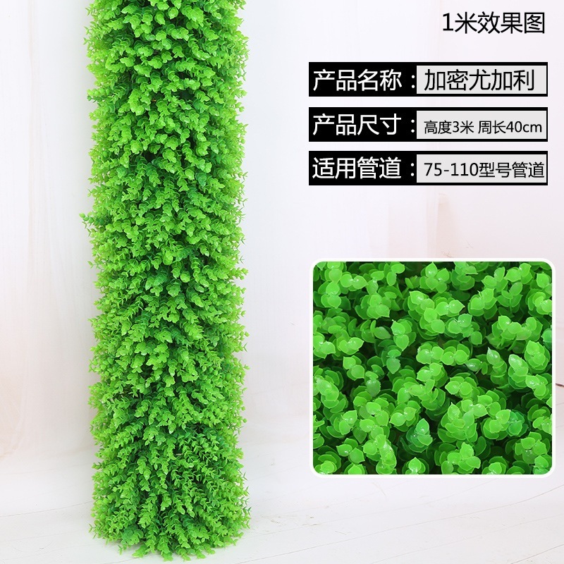 Kit Eucalyptus crypté [3 mètres] avec package d'installation