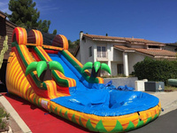 Château gonflable et toboggan aquatique combinés en PVC pour l'extérieur, 6x5m, installation facile, parc de divertissement gonflable en solde