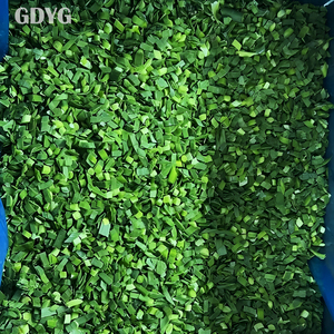 Cebollín Congelado Sin OMG de China, 100% Fresco, Alta Calidad, Empaque a Granel, Suministro al por Mayor para Exportación - Product Image 4