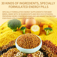 YEE Vente en gros d'usine Millet Nourriture pour oiseaux Grains de millet décortiqués sélectionnés pour perroquet perruche canari Alimentation saine