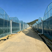 Film plastique pour serre, stabilisé aux UV, anti-vieillissement, anti-condensation, taille personnalisée pour la culture de légumes en serre