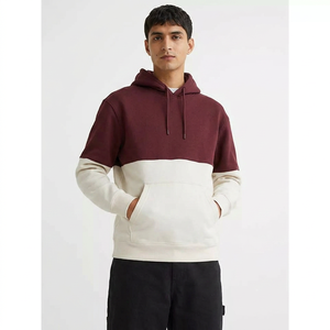 Sweat à capuche 100 % coton pour homme, épais et chaud, en polaire, style urbain, pour les tenues quotidiennes par temps froid - Product Image 1