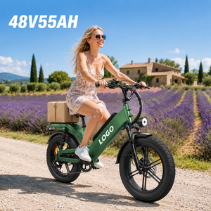 จักรยานไฟฟ้ารุ่น D55 น้ำหนักเบา ดีไซน์เรียบง่าย 48v 55ah 750w สำหรับผู้หญิง จักรยานไฟฟ้าในเมือง สกู๊ตเตอร์ไฟฟ้า ยางใหญ่ ระบบกันสะเทือนคู่ - Product Image 1