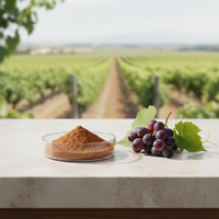 Extrait de pépins de raisin de qualité alimentaire 95% naturel