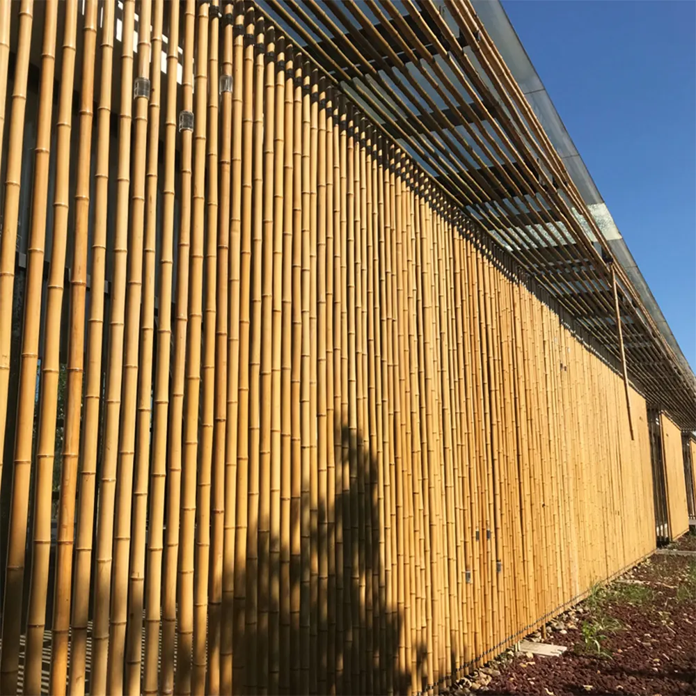 Natuur Ruwe Bamboe Palen Rechte Bamboe Boom Staken Grote Bamboestokken Voor Decoratie Lengte 300Cm