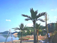 Plante artificielle en forme de cocotier réaliste pour club de surf, restaurant en bord de mer, terrasse extérieure, décoration ambiance côtière