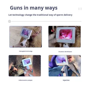 मवेशी घोड़े की भेड़ हिरण कृत्रिम गर्भाधान बंदूक और उपकरण पशु पशु चिकित्सक SJQKS-01 सफेद/चांदी नई - Product Image 3