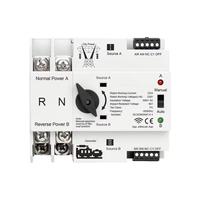 Reliable Intelligent 2P AC230V WiFi ATS Dual Power Automatic Transfer Switch for City Power Generator Conversion