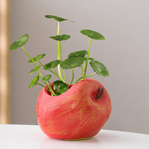 Maceta <span class=keywords><strong>de</strong></span> cerámica en forma <span class=keywords><strong>de</strong></span> fruta, sandía, manzana, plátano, fruta <span class=keywords><strong>de</strong></span> estrella, Durian, macetas suculentas, maceta <span class=keywords><strong>de</strong></span> cerámica para el jardín del hogar - Product Image 5