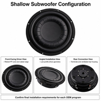 Subwoofer para Auto de 12 Pulgadas, 250W RMS, 500W, Doble Bobina de 2 Ohmios, Cono de PP, Borde de Goma, Hierro, para Automoción, OEM, ODM