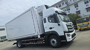 Camionnettes Camion Foton Prix d'usine Tout nouveau Carburant Diesel Transmission manuelle Légumes Viande Transport Euro 6 Norme d'émission Gauche - Product Image 2