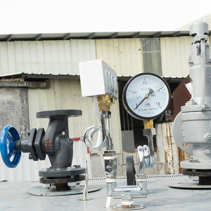 נייד גז 0.5 טון אופקי הדוד הטוב ביותר מחולל קיטור ברזל 2019 - Product Image 3