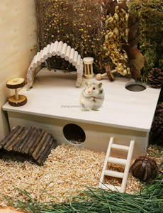 Toptan yaratıcı küçük boy ahşap <span class=keywords><strong>Hamster</strong></span> evi nefes kapalı açık evcil hayvan kafesi kuş uygulama <span class=keywords><strong>Hamster</strong></span> Hideout - Product Image 2