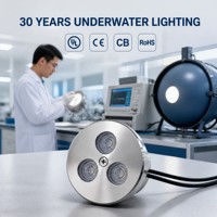 Lampu Kolam Renang LED Kustom Bawah Air IP68 Baja Tahan Karat 304 RGB 12V 24V Kontrol DMX Tahan Api Garansi 5 Tahun CRI83 Air Mancur