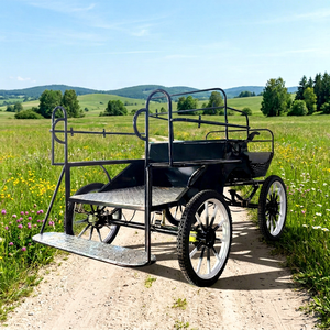 Chariot à Chevaux Marathon à 4 Roues de Haute Qualité, Nouveau Style, Voiturette pour Poney, Vente Directe Usine, Transport Spécial Économique - Product Image 1