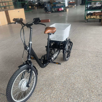 3 Tekerlekli Elektrikli Bisiklet, 24V/36V Lityum Pil, 250W/350W Çelik Gövde, 6 Vitesli Fırçasız Motor, 20 İnç Tekerlekler
