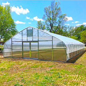 Serre tunnel monocouche à faible coût pour <span class=keywords><strong>tomates</strong></span>, laitues, fleurs – Kit complet de <span class=keywords><strong>serres</strong></span> agricoles en film – Ensemble complet de <span class=keywords><strong>serres</strong></span> - Product Image 2