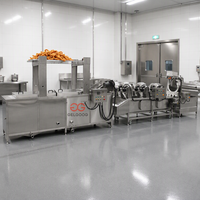 Friteuse Commerciale Automatique Professionnelle pour la Production de Poulet Frit, Tranches de Porc, Gâteaux de Poisson et Snacks