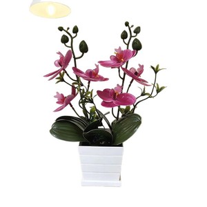 Orchidée Phalaenopsis Artificielle Paulon en Pot Carré de 27 cm, Plante d'Intérieur en Plastique Souple pour Décoration de Café, Maison ou Bureau - Product Image 5